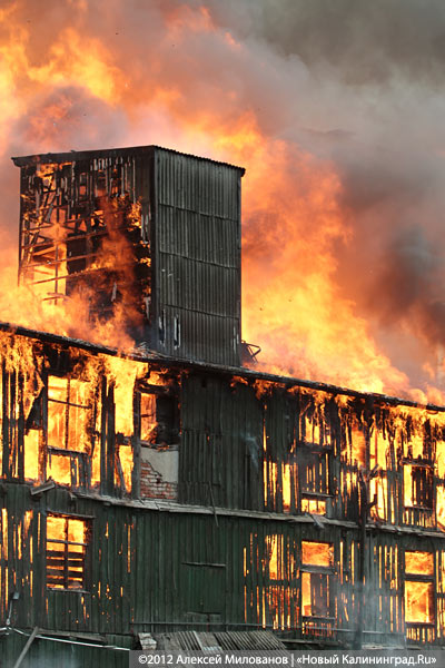 «Пожар года»: фоторепортаж «Нового Калининграда.Ru»