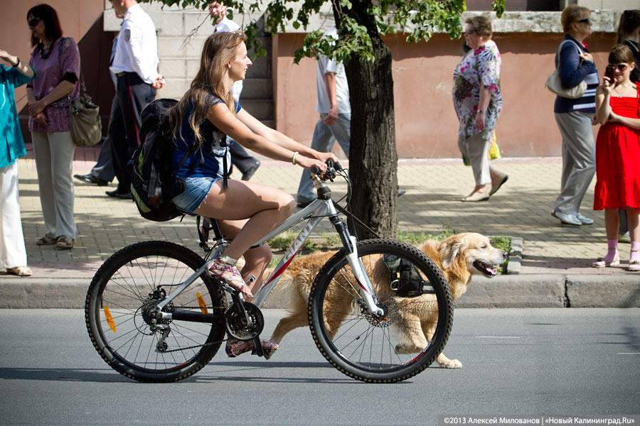 По главной улице: открытие пешеходной зоны в День города-2013