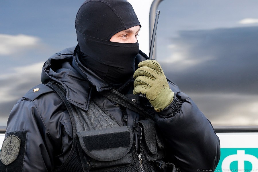 Отрава для лебедей, 100 млн за вывоз трупов, неправильные декларации и другие новости утра