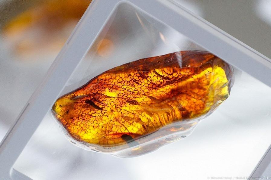 Чистая прибыль Янтарного комбината в 2020 году сократилась на 28%