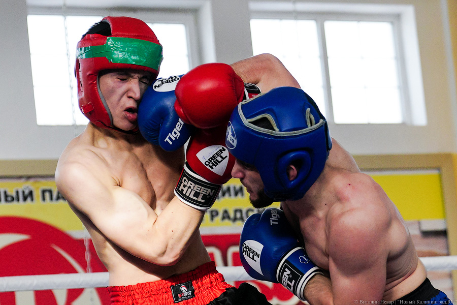 «Ударный» день: в Калининграде прошел чемпионат области по кикбоксингу