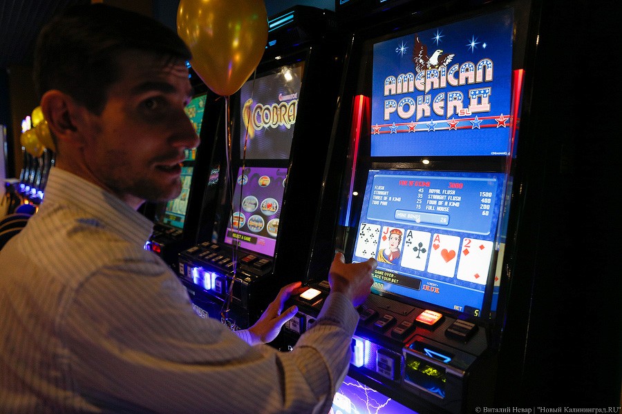 Без блэкджека: что представляет собой «балтийский Лас-Вегас» в Куликово