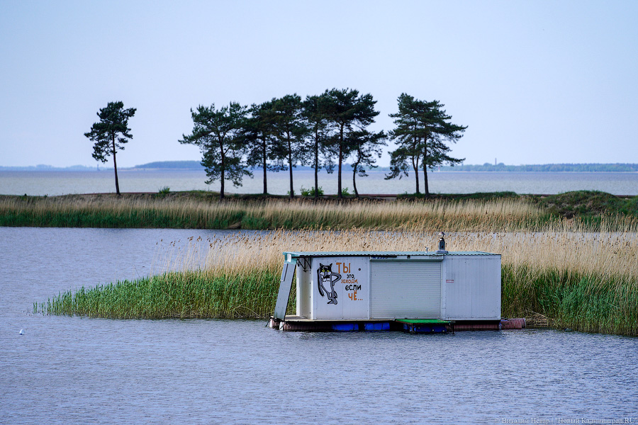 «Не врите мне»: фекалии в воде не портят отдых калининградским купальщикам (фото)