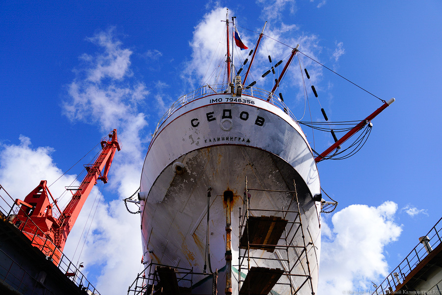 После кругосветки и перед новым рейсом: барк «Седов» проходит ремонт в Светлом (фото)