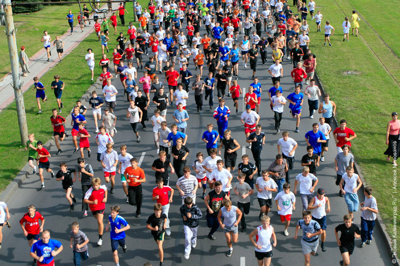 Итоги года-2009: Главные кадры