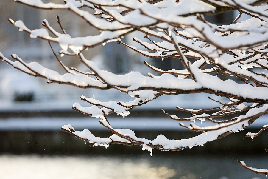 Хаос под белым покрывалом: как выглядит утонувший в снегу Калининград (фото)
