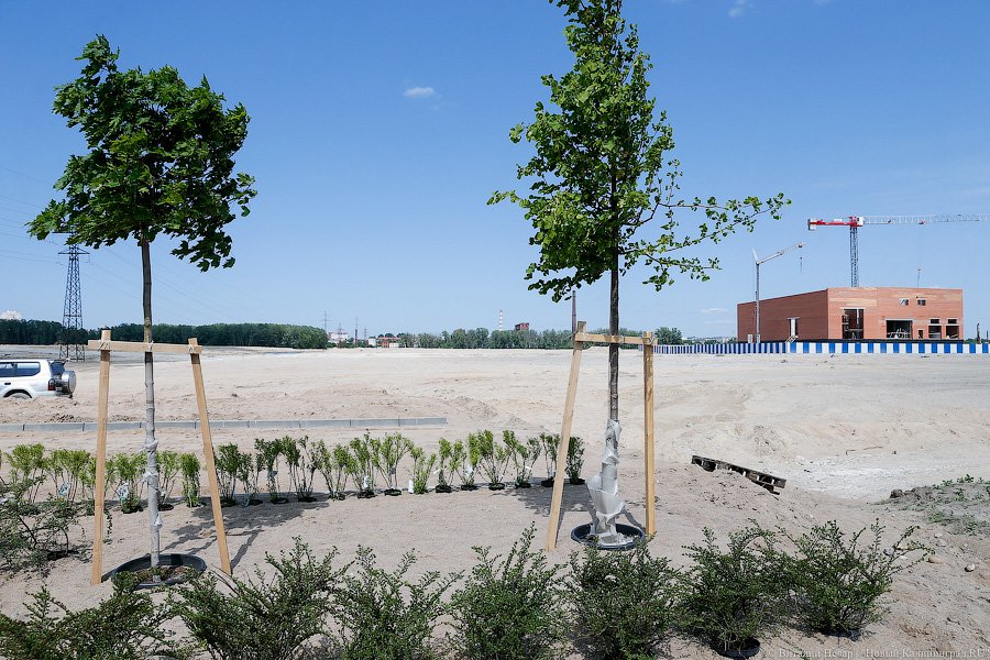 «Чего-то не хватает»: как Цуканов с Набережной Ветеранов разбирался