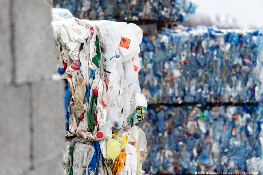«Ничего на свалку не уйдет»: в Калининграде стали раздельно собирать 14 видов отходов (фото)
