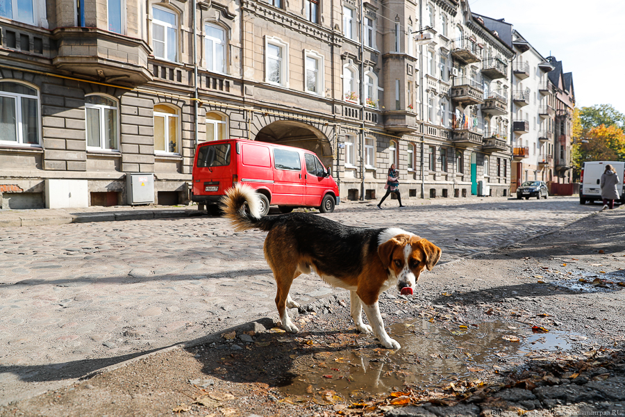 В Черняховске в течение этого года планируют отремонтировать дома № 3-11 комплекса «Порт-Артур»