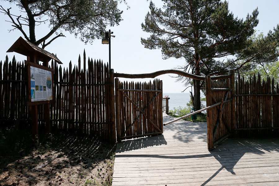 Олаф и его хирд: деревня викингов на Куршской косе стала обитаемой