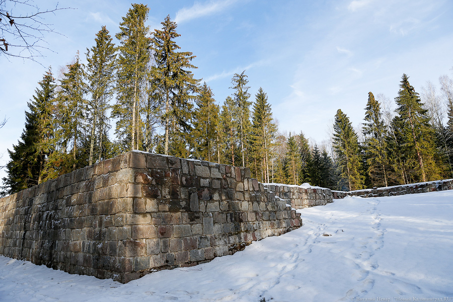 Прокуратура требует лишить хозяйку «дачи Геринга» права собственности