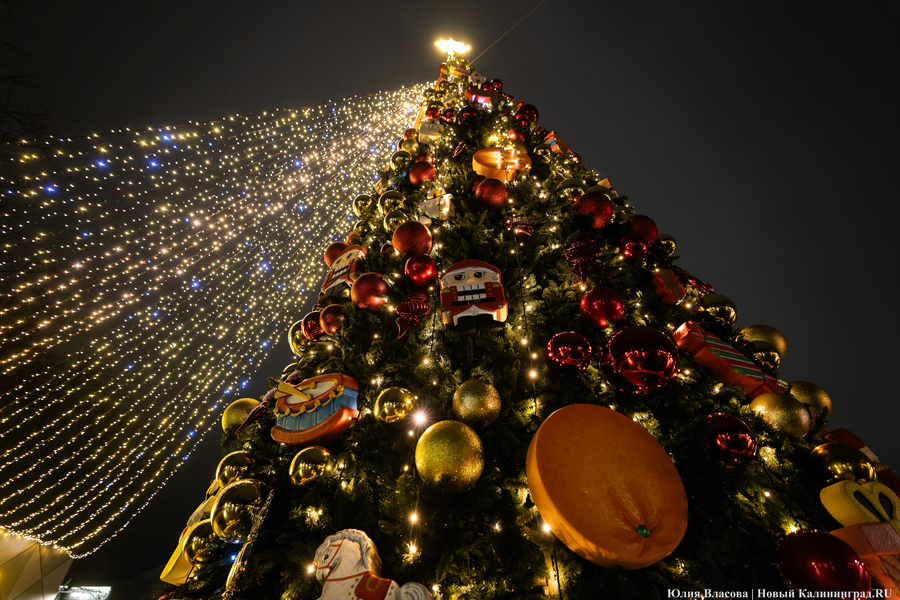 30 километров гирлянд: как украсили к Новому году Светлогорск (фото)