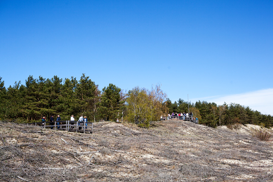 «Надо что-то делать, это нереально»: Куршская коса едва справляется с турпотоком