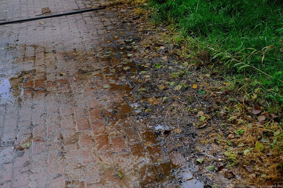 Муза освоения: как за федеральные деньги благоустраивают парк в Светлогорске