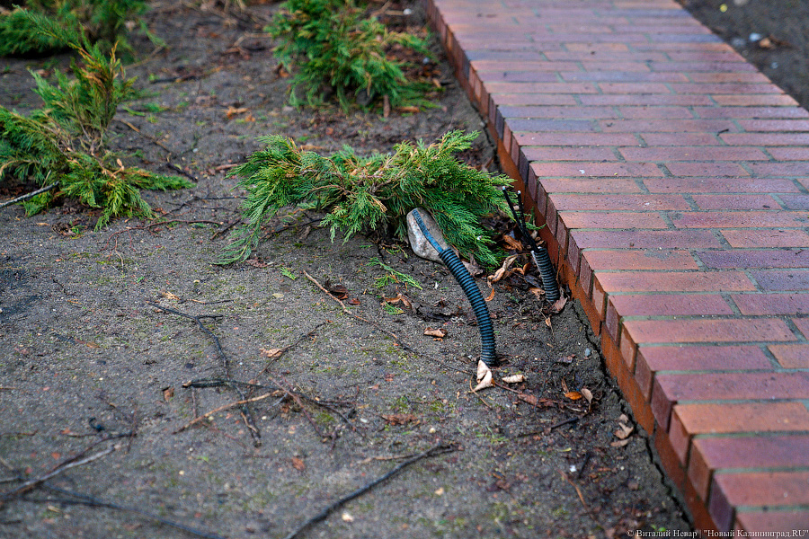 «Грязные» миллионы: во что превратился благоустроенный остров Канта к весне (фото)