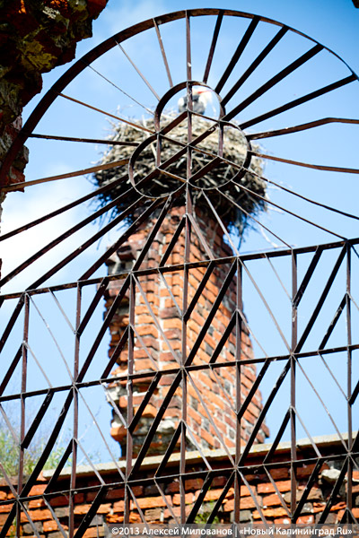 Заваренный вход и ажурные решетки: судьба кирхи в Знаменске после консервации