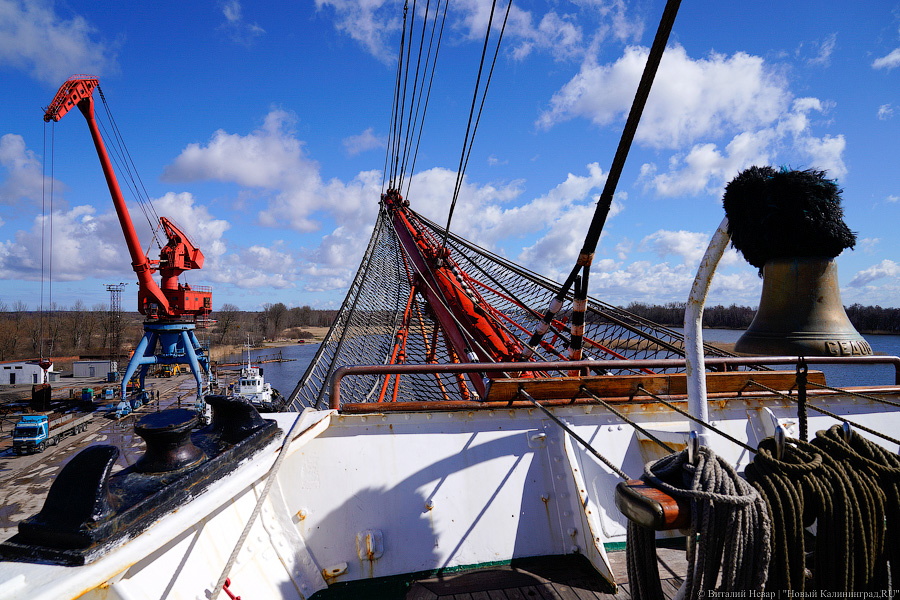 После кругосветки и перед новым рейсом: барк «Седов» проходит ремонт в Светлом (фото)