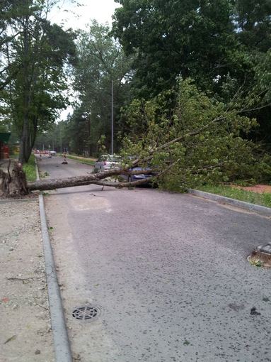 Шторм в Литве: на пляже Ниды ветер поднял в воздух коляску с ребенком (фото)