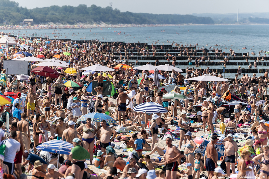 Фото: Юлия Власова / Новый Калининград