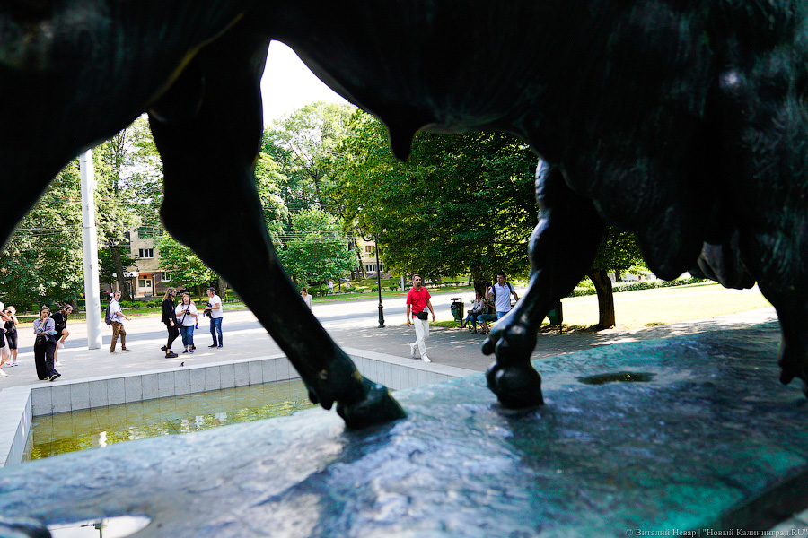 Футуролог Пётр и машина времени: «Фестивальная дирекция» представила спектакль-прогулку 