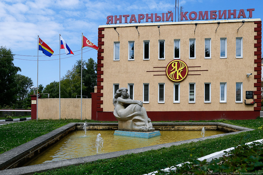 Модернизацию Янтарного комбината оценили в 5,5 млрд рублей