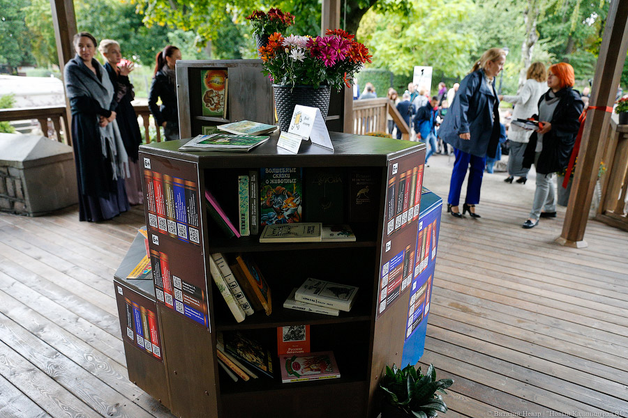 Книги, звери, люди: в Калининградском зоопарке открыли читальный павильон