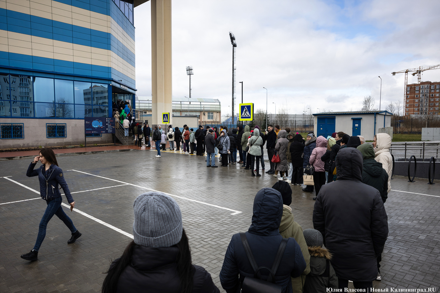 Один на ринге: как проходило голосование в Калининградской области (фото)