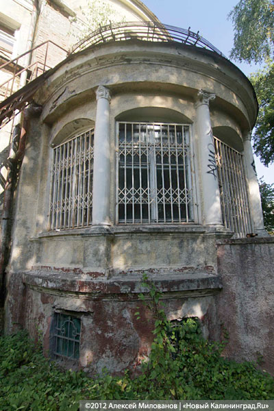 «Куда ушли детские сады. Продолжение»: фоторепортаж «Нового Калининграда.Ru» 