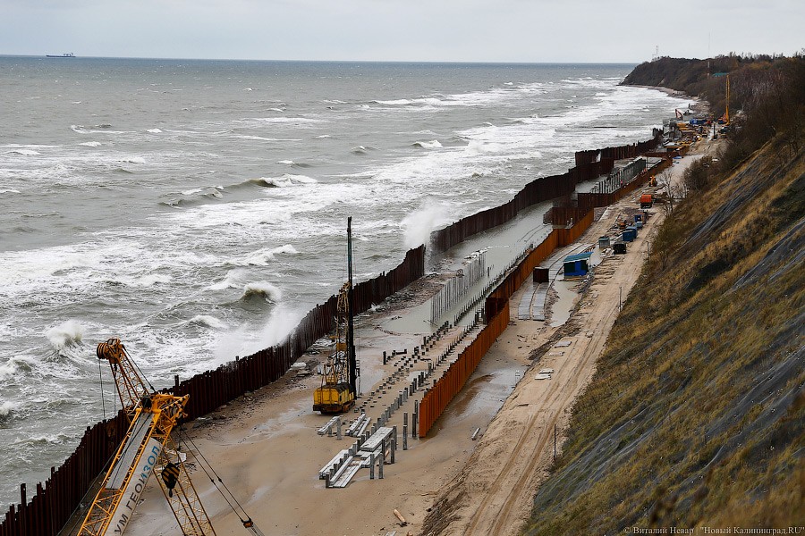 В Калининградской области ветер повалил 70 деревьев, повреждены 9 автомобилей
