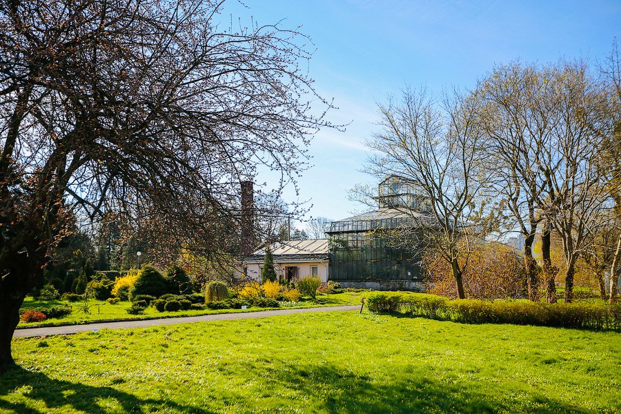 Пастораль ручной работы: весенний Ботанический сад