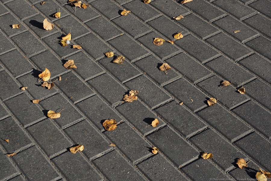 Калининградской области прогнозируют теплый конец месяца