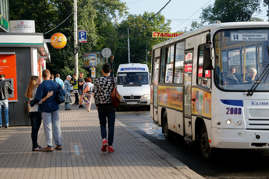 Неуловимый мститель: хроника борьбы мэрии с пошедшим ва-банк «БалтАвтоЛайном»