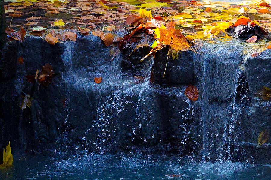 Время тыквы: как в Калининграде проходит необычная осень (фото)