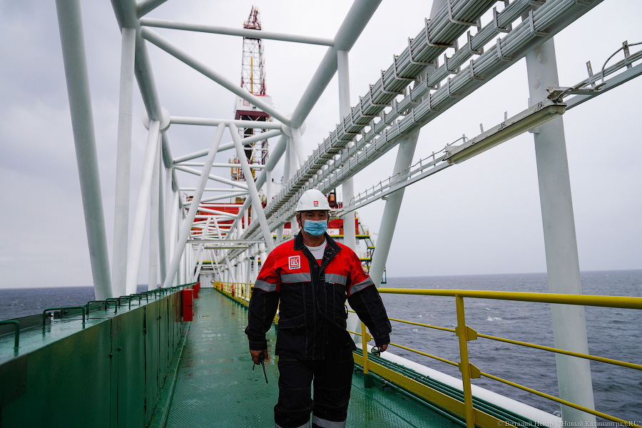 Прилетит вдруг волшебник: как голосовали на платформе «Д-6»