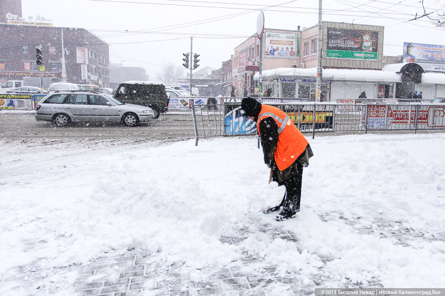 «Глупая шутка»: апрельская метель на калининградских улицах