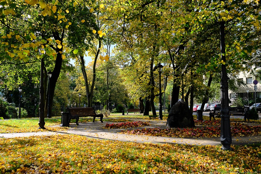 Алиханов заявил о возвращении 100 га зелёных зон в Калининграде