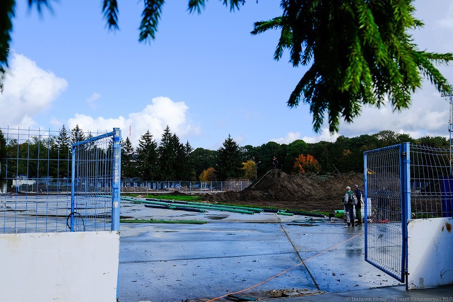 Огород вместо поля: что происходит со стадионом «Балтика» прямо сейчас (фото)