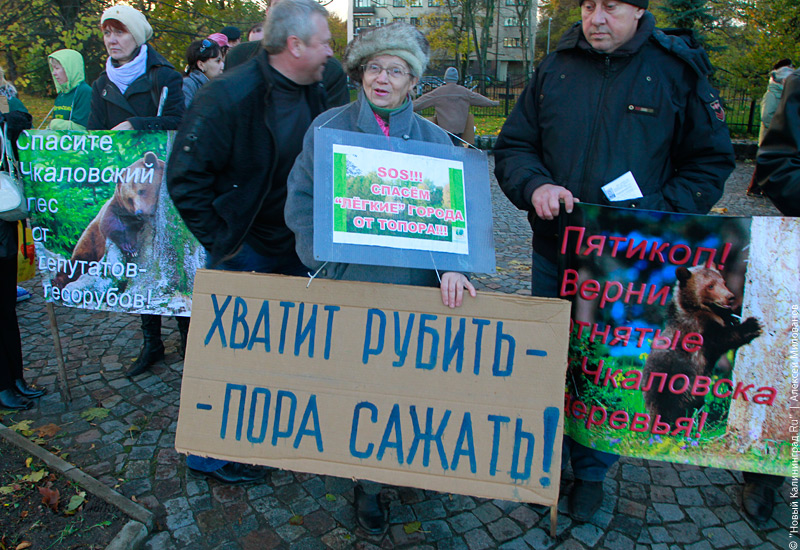 Защитники зеленых зон потребовали открытости со стороны властей