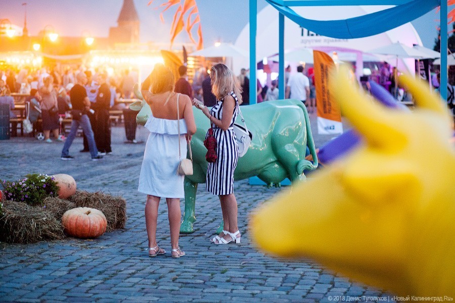 Денис Туголуков / Новый Калининград