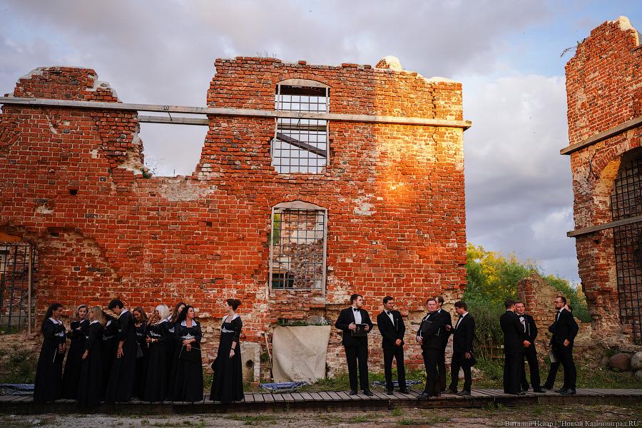 Фото: Виталий Невар / Новый Калининград