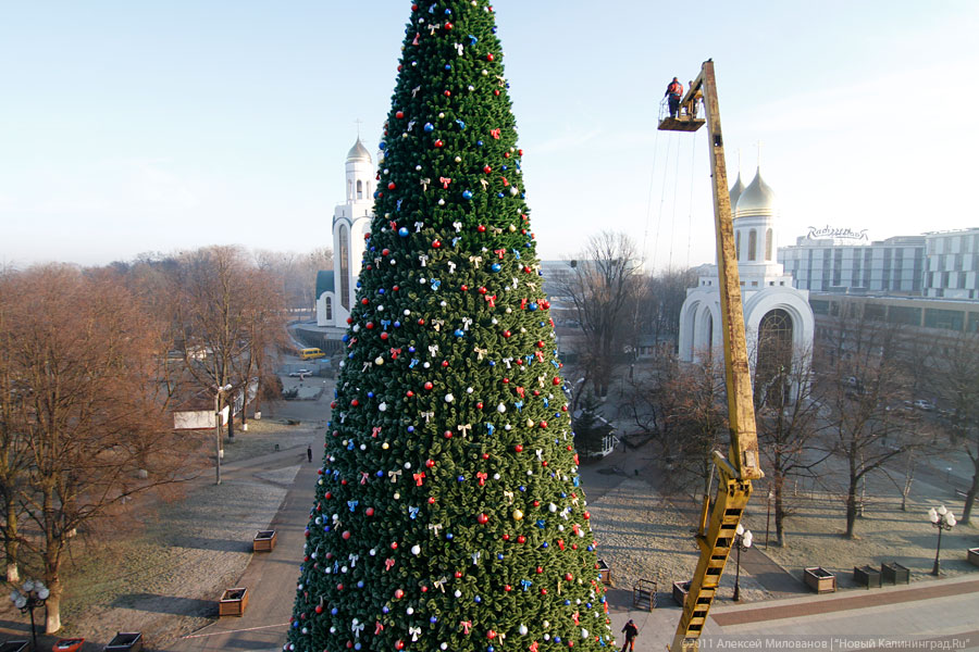 "Много на ёлочке шариков цветных": фоторепортаж "Нового Калининграда.Ru"