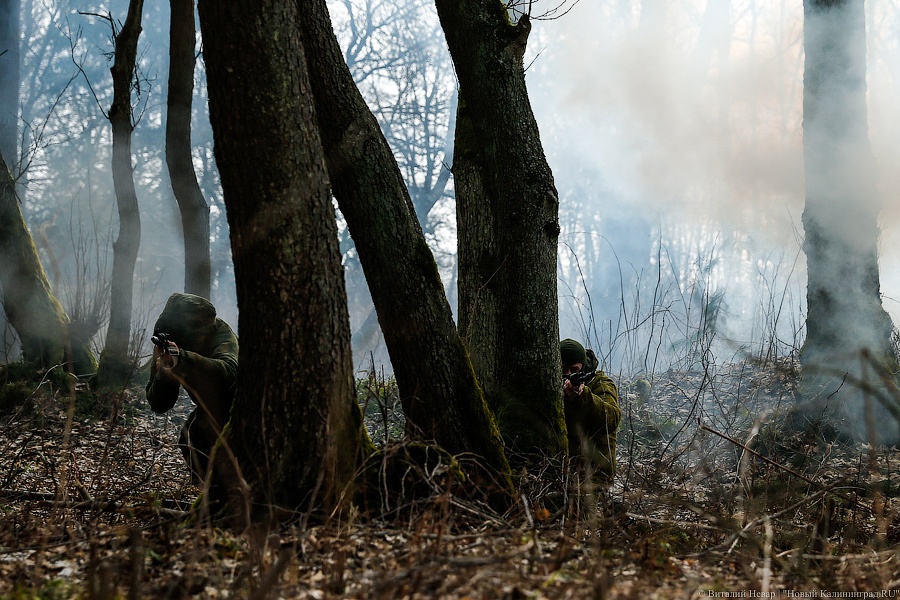 В Польше стартовали учения НАТО Saber Strike