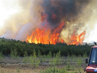 На Куршской косе возле Клайпеды произошел пожар
