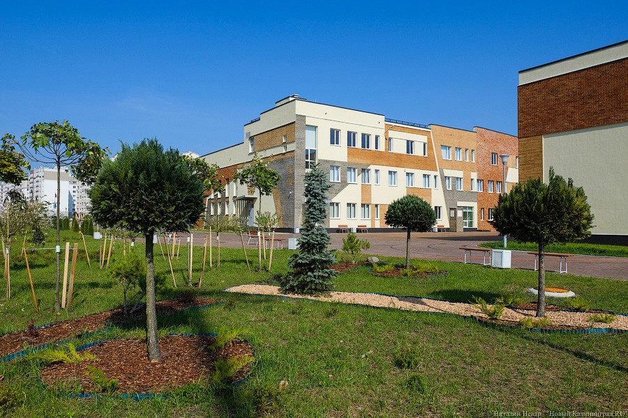 Бассейны, тир, медиатека: как выглядит новая — самая большая в регионе — школа (фото)