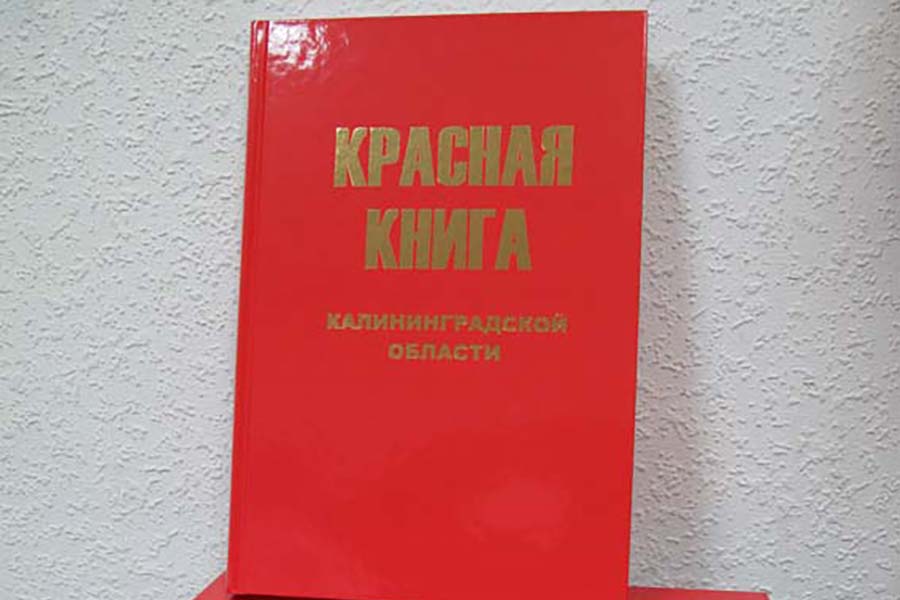 В Калининградской области приступили к подготовке нового издания Красной книги