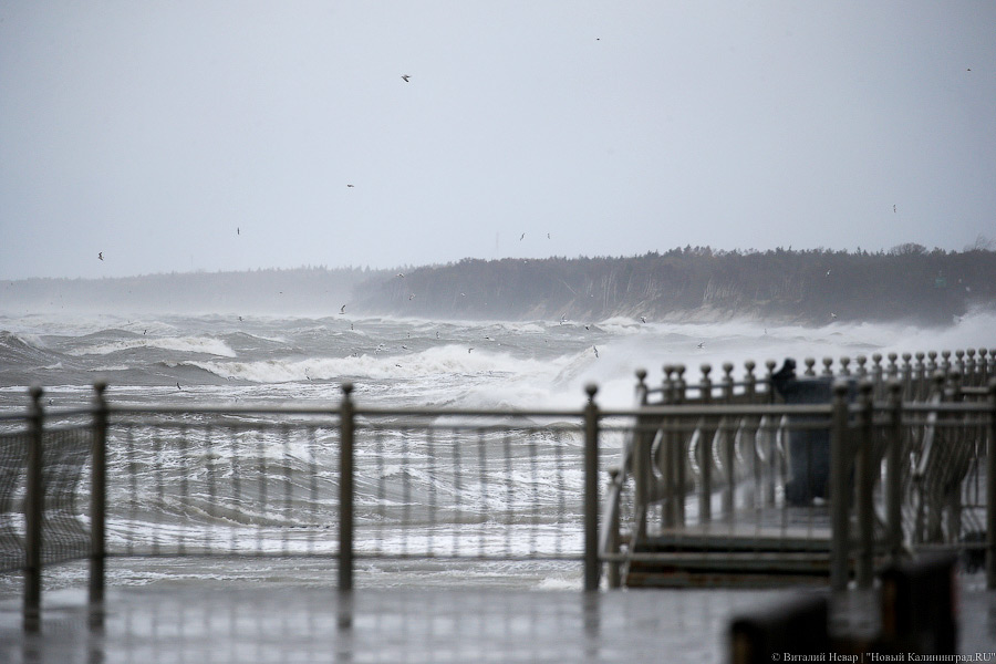 У моря погода: как Зеленоградское побережье переживает шторм