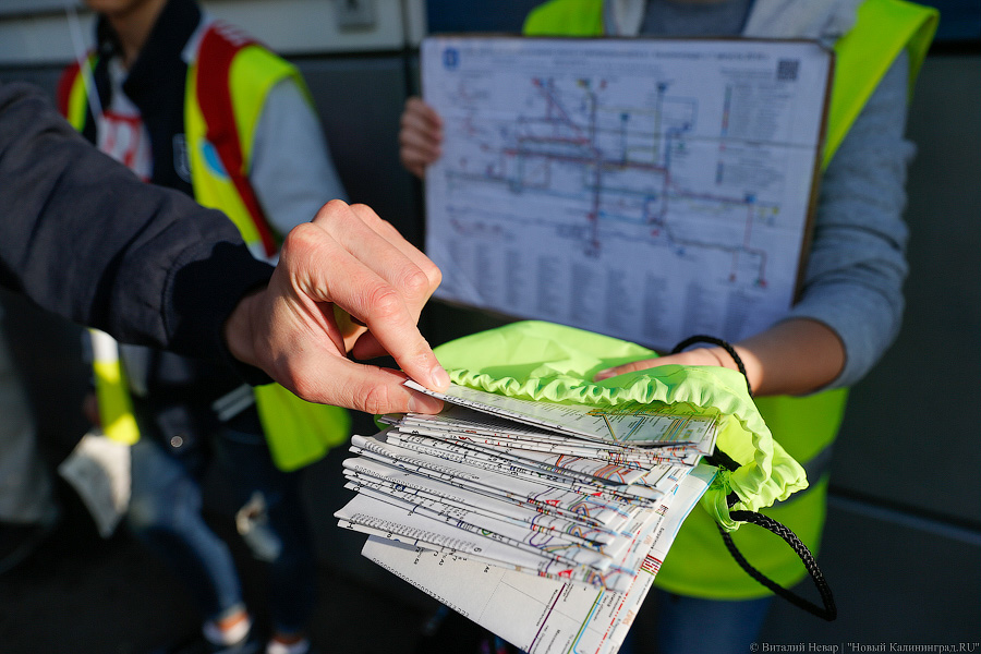 Неуловимый мститель: хроника борьбы мэрии с пошедшим ва-банк «БалтАвтоЛайном»