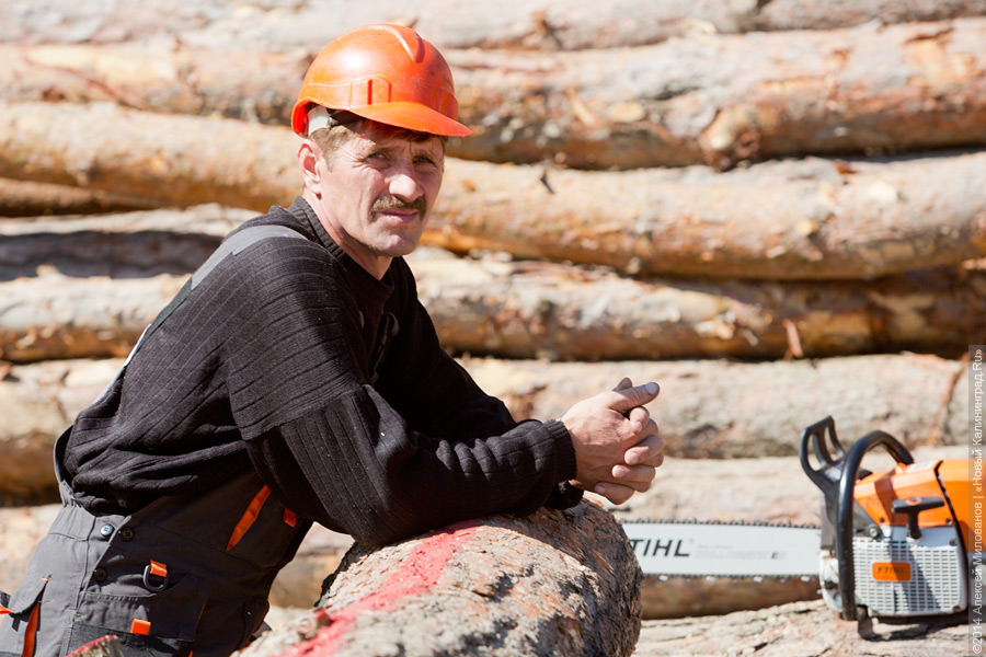 Лесной распил: как проходят соревнования лесорубов (фото)
