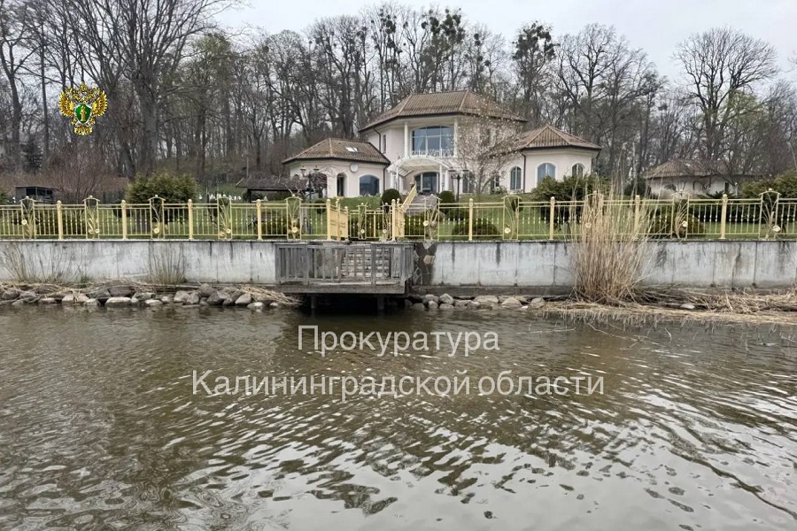 Прокуратура намерена изъять у физлица участок на берегу Преголи в Родниках (фото)