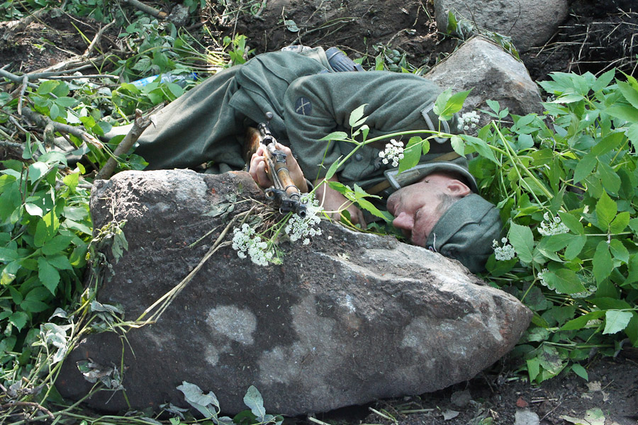 "Дерево войны и мира": фоторепортаж "Нового Калининграда.Ru"